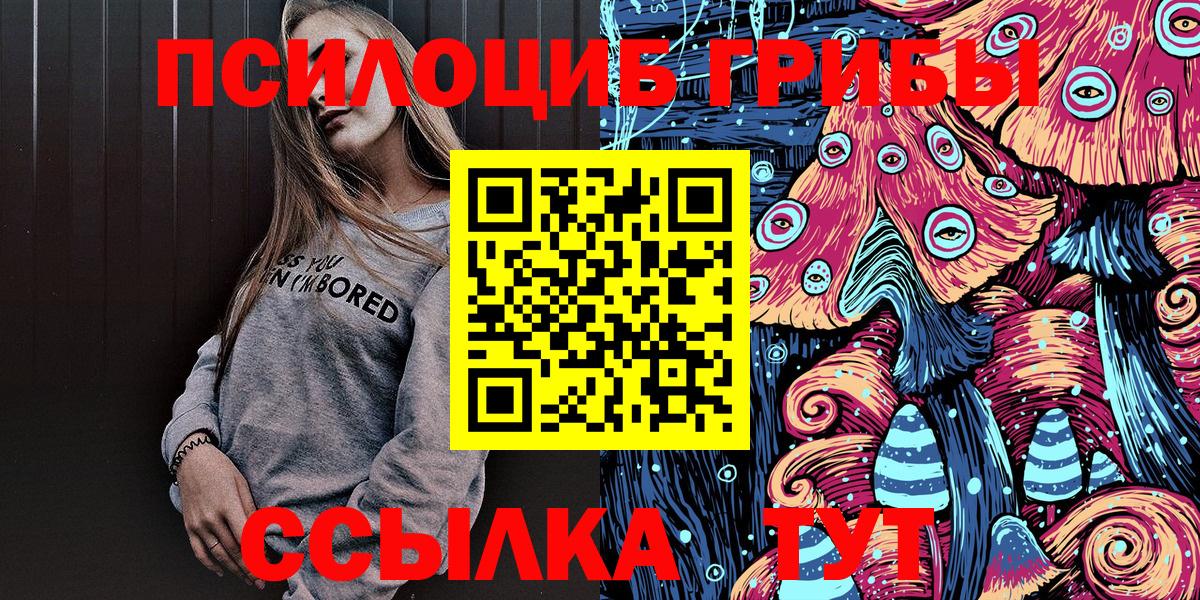 Псилоцибиновые грибы Cubensis Десногорск